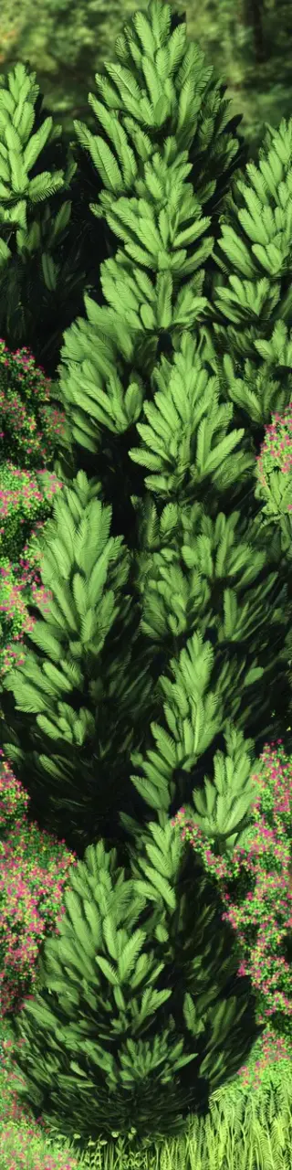 Free printable evergreen bushes bookmark