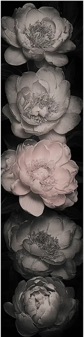 Free printable white and gray peonies on black bookmark